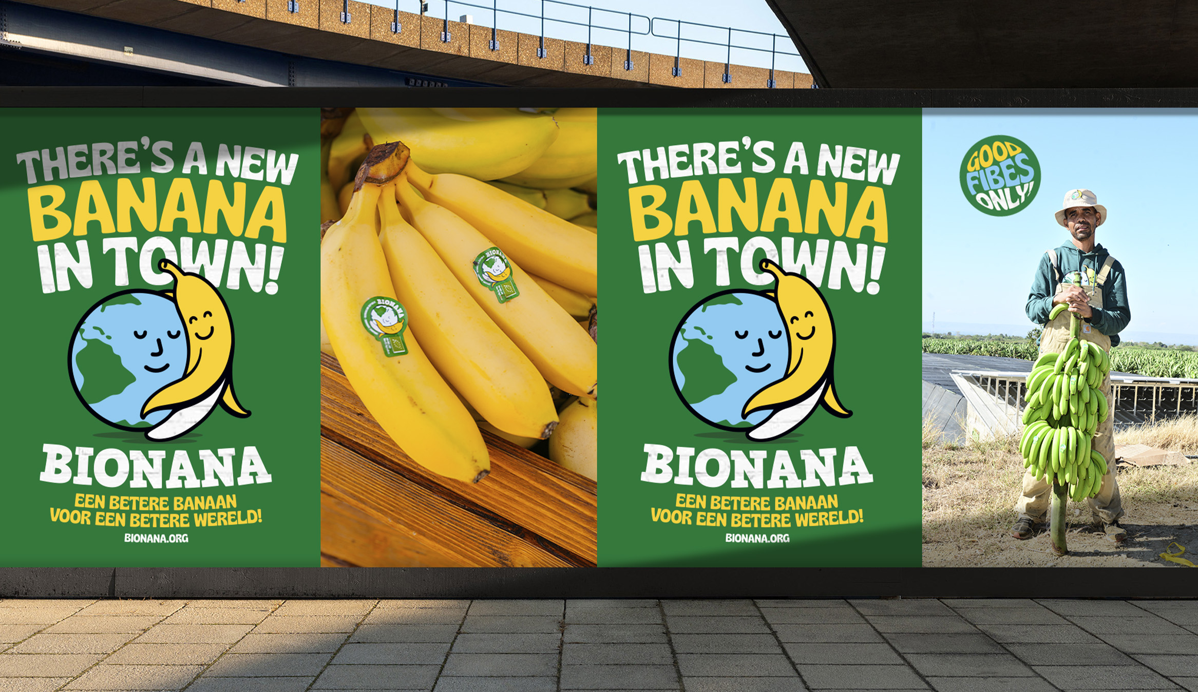 Bionana visual identity